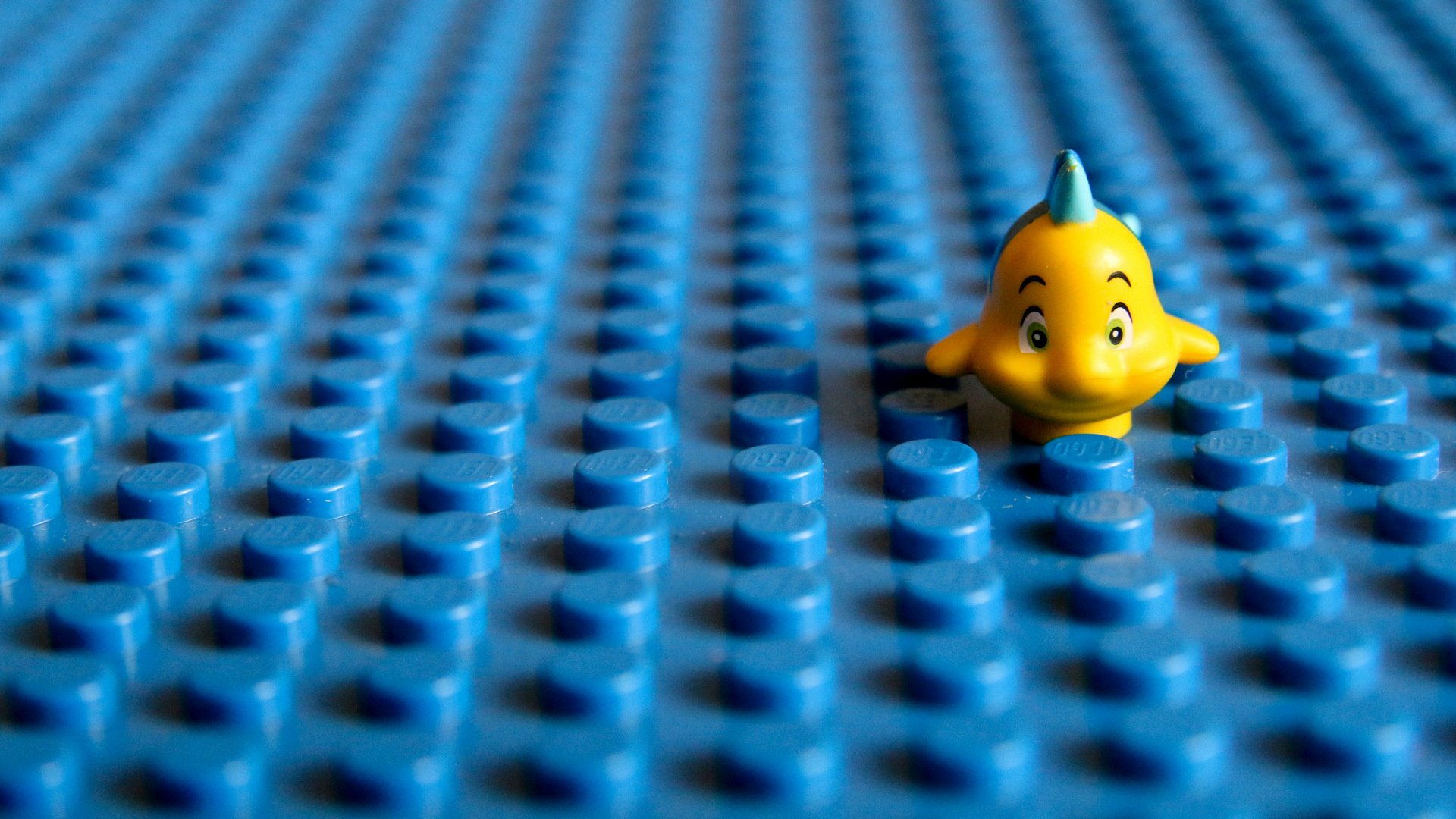 Hoe overstijg je denkfouten en ontwikkel je je kritische geest?