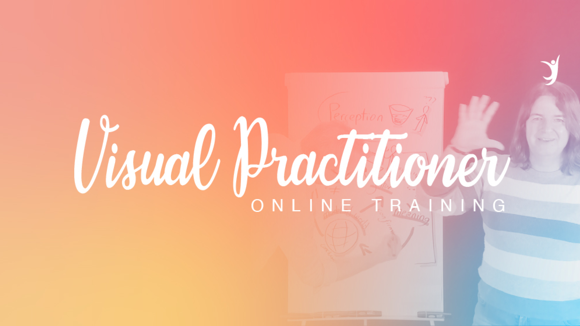 Visual Practitioner Online Training