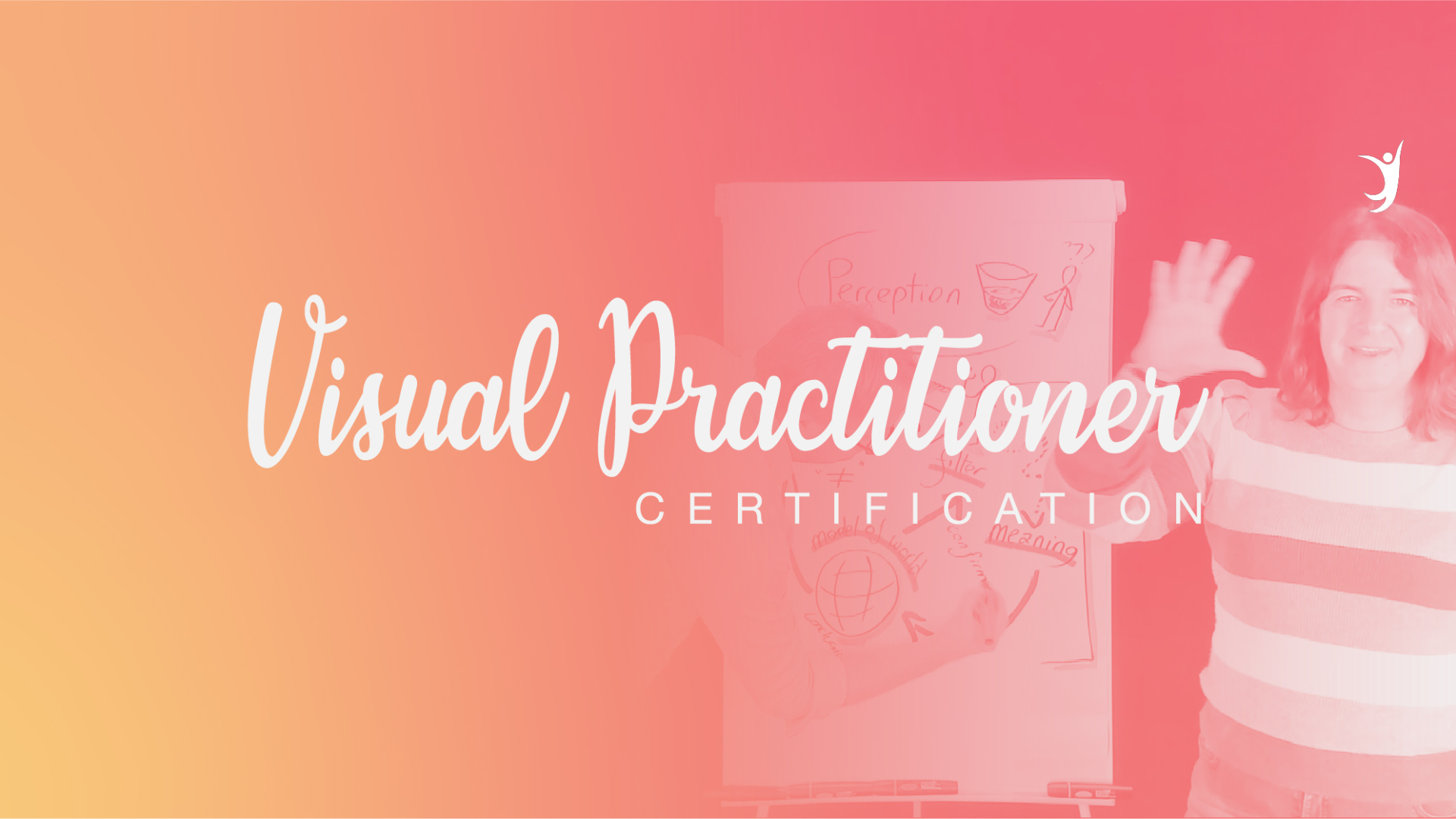 Visual Practitioner Certification