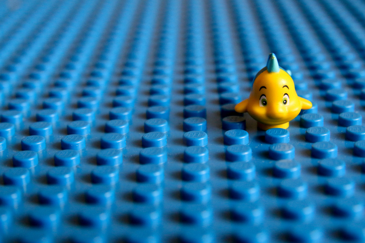 Hoe overstijg je denkfouten en ontwikkel je je kritische geest?