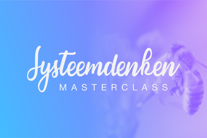 Systeemdenken
