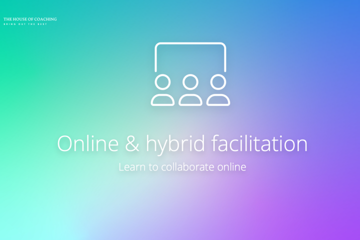 Online & hybrid facilitation