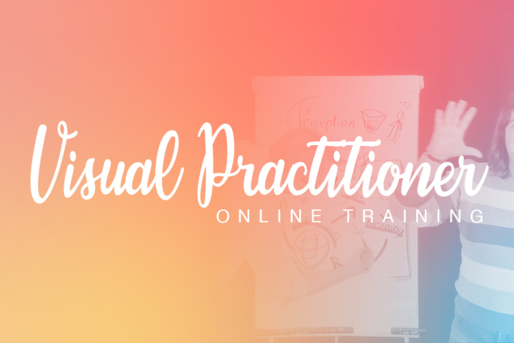 Visual Practitioner Online Training
